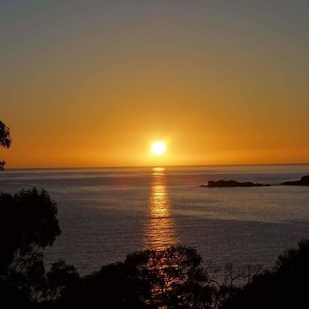 Bay Of Fires Seachange Ocean Frontage Binalong Bay Εξωτερικό φωτογραφία