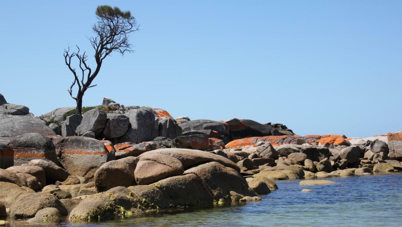 Bay Of Fires Seachange Ocean Frontage Binalong Bay Εξωτερικό φωτογραφία