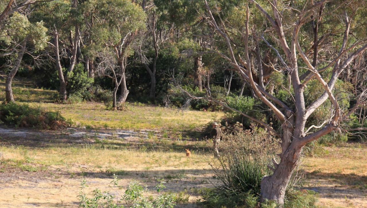 Bay Of Fires Seachange Ocean Frontage Binalong Bay Εξωτερικό φωτογραφία
