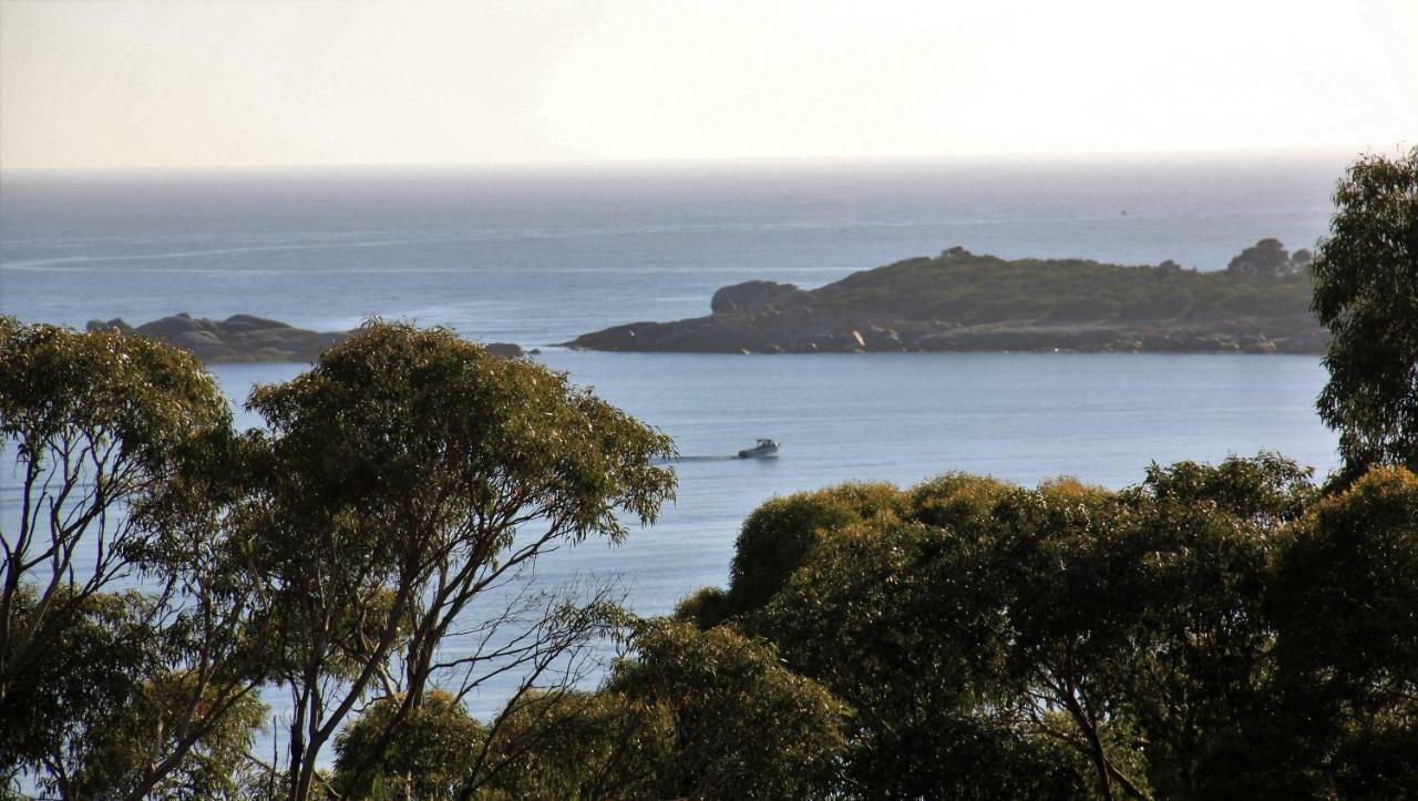 Bay Of Fires Seachange Ocean Frontage Binalong Bay Εξωτερικό φωτογραφία